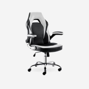 Height Adjustable Desk